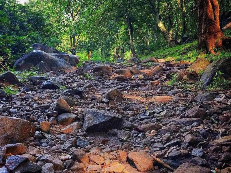 Segítség a gyászban